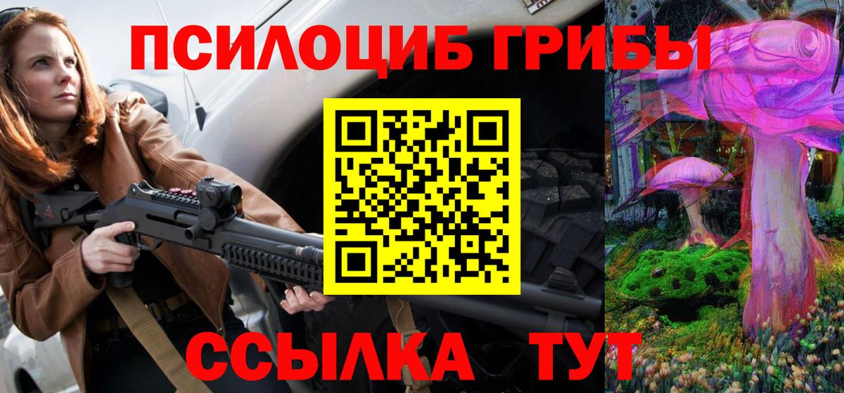 Карачаевск  Псилоцибиновые грибы GOLDEN TEACHER  Вход с VPN  Псилоцибиновые грибы прущие грибы 