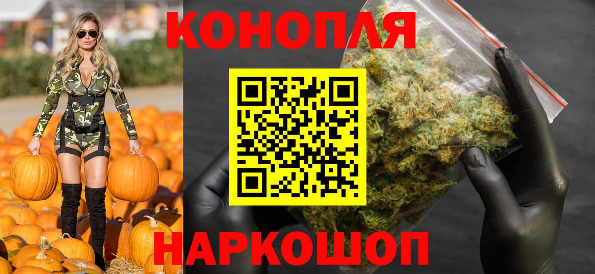 Конопля гибрид Карачаевск
